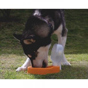 RECIPIENTE DOGGY personalizada