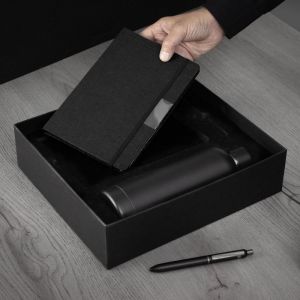 SET EJECUTIVO 